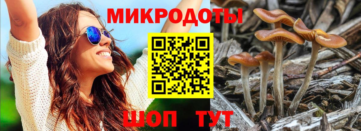 Новотроицк  Псилоцибиновые грибы ЛСД  Вход с VPN 